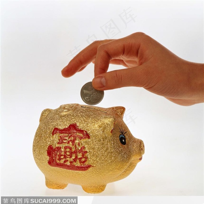 金猪储蓄罐