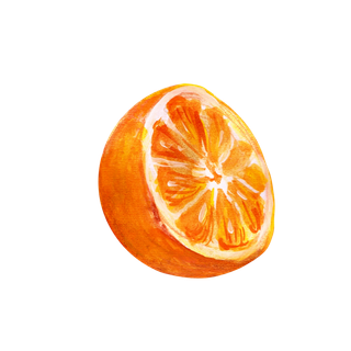 水果水彩画水果免扣素材橙子