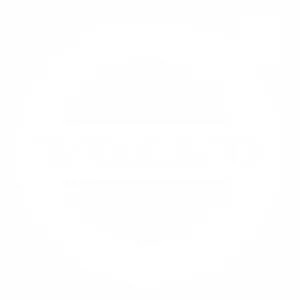 沃尔沃标志 PNG免抠(300x300)