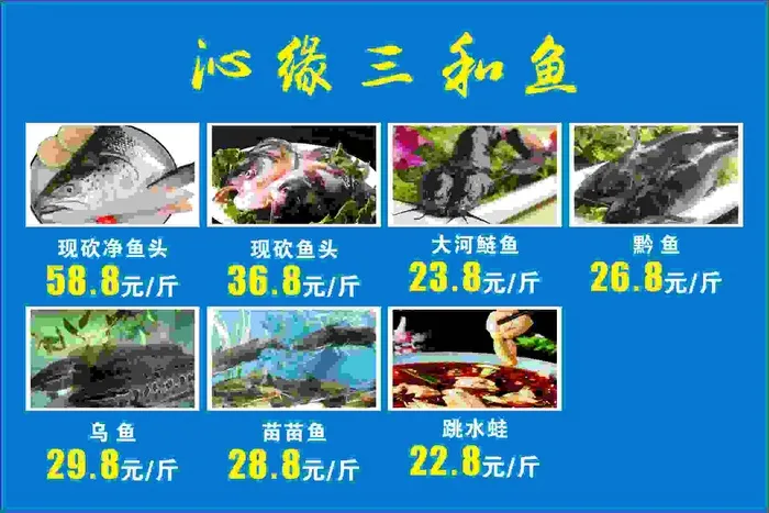 各种鱼 写真cdr矢量模版下载