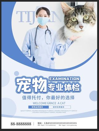 简约风宠物商店海报宠物医院宣传海报