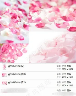 粉色玫瑰花花瓣素材