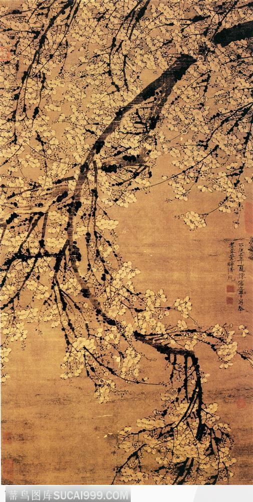 花鸟篇-弯枝的梅花