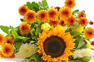 唯美堆放着的向日葵花束图片