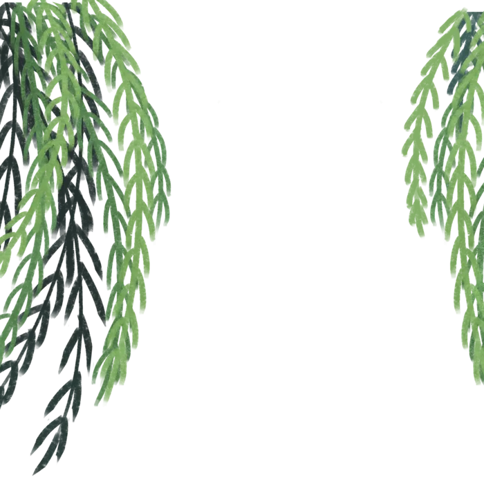 春天绿色春季水墨柳树柳条柳叶春季海报设计PNG免扣素材