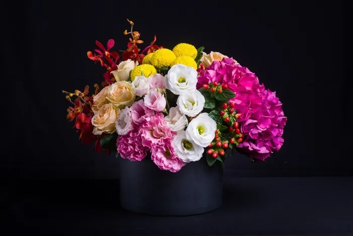 芍药绣球花鲜花插画图片