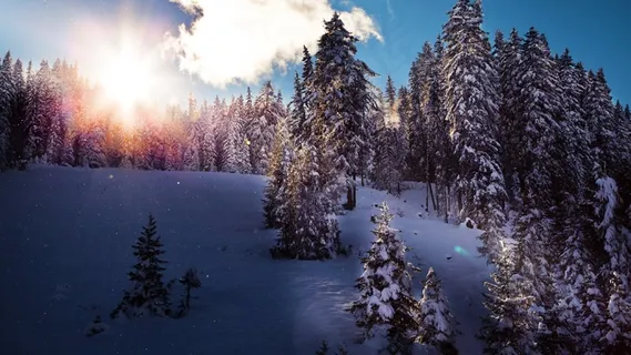 冬季清晨雪山景观图片 冬季清晨雪山景观图片