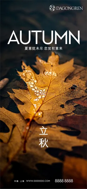 立秋节气海报
