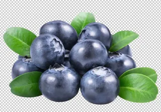 蓝莓免扣素材