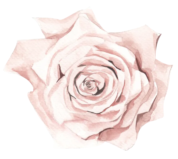 鲜花玫瑰免扣素材