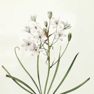 仟像版春的呼吸水彩花卉