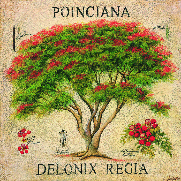 水彩树复古艺术插画