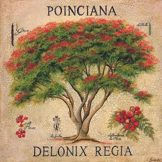 水彩树复古艺术插画 水彩树复古艺术插画