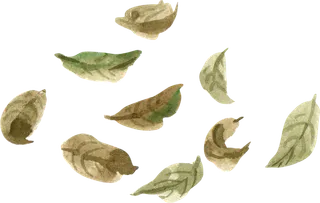 插画免抠高清素材