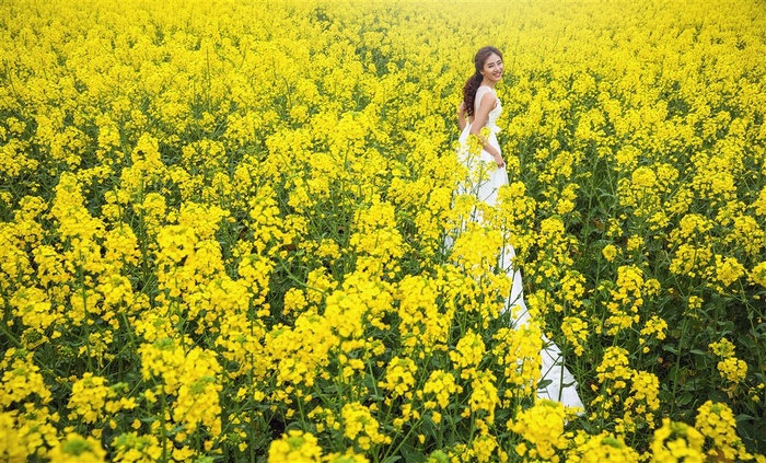 幸福恋人油菜花园婚纱外拍摄影图