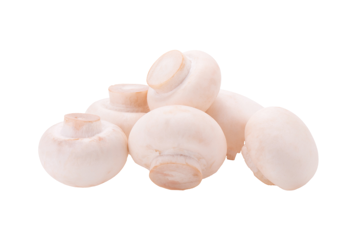 白蘑菇 (3)超市商品白底图免抠实物摄影png格式图片透明底