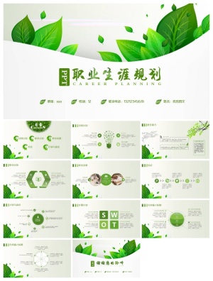 职业生涯规划精美PPT模板 预览图