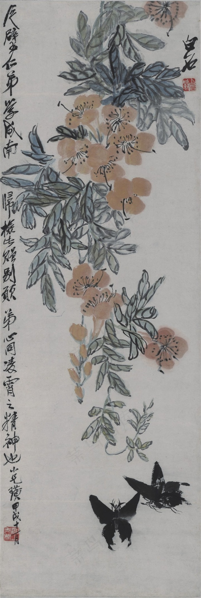 齐白石《黄花双蝶图》高清国画