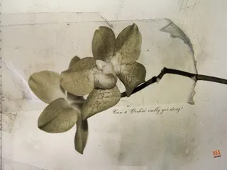 图片素材背景怀旧效果