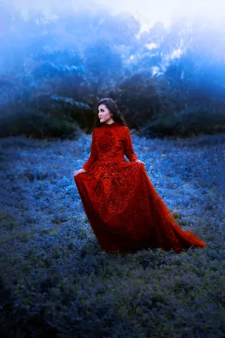 欧美大红婚纱写真图片