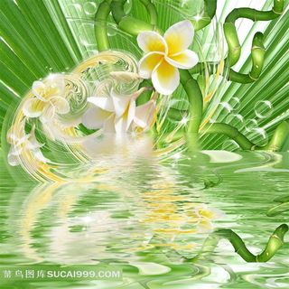 装饰画背景画无框画鸡蛋花