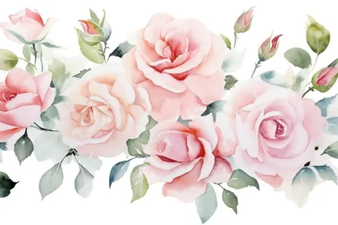 玫瑰花粉色水彩画免抠