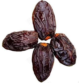 海枣免抠素材 (18)