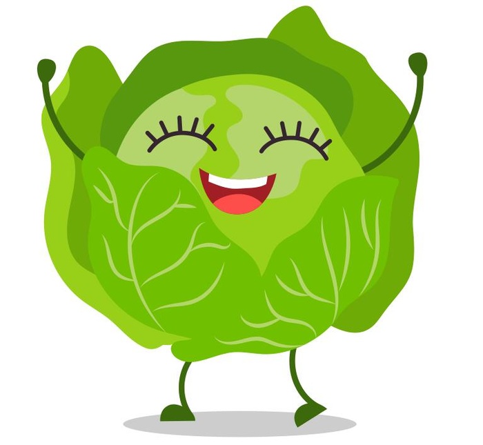 卷心菜矢量cdr矢量模版下载