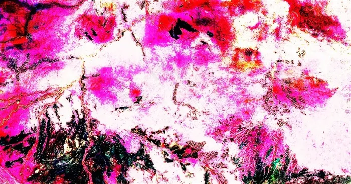 自然图案花纹