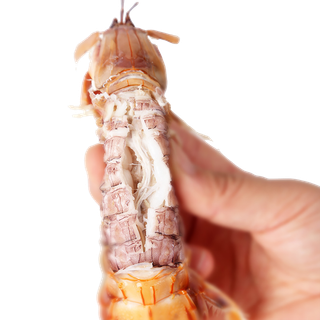 皮皮虾2海鲜超市商品红酒白底图免抠实物摄影png格式图片透明底