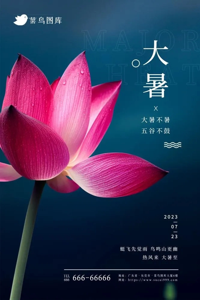 大暑莲花唯美粉蓝大气简约海报(2362x3543)psd模版下载