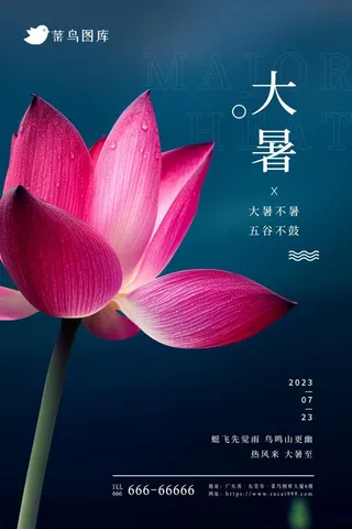 大暑莲花唯美粉蓝大气简约海报