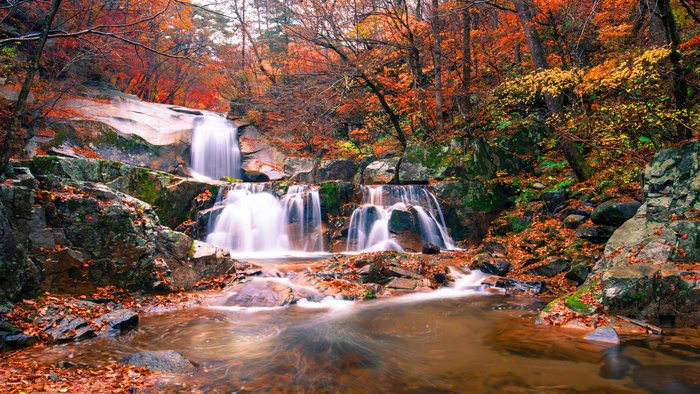 高清山林河流溪水