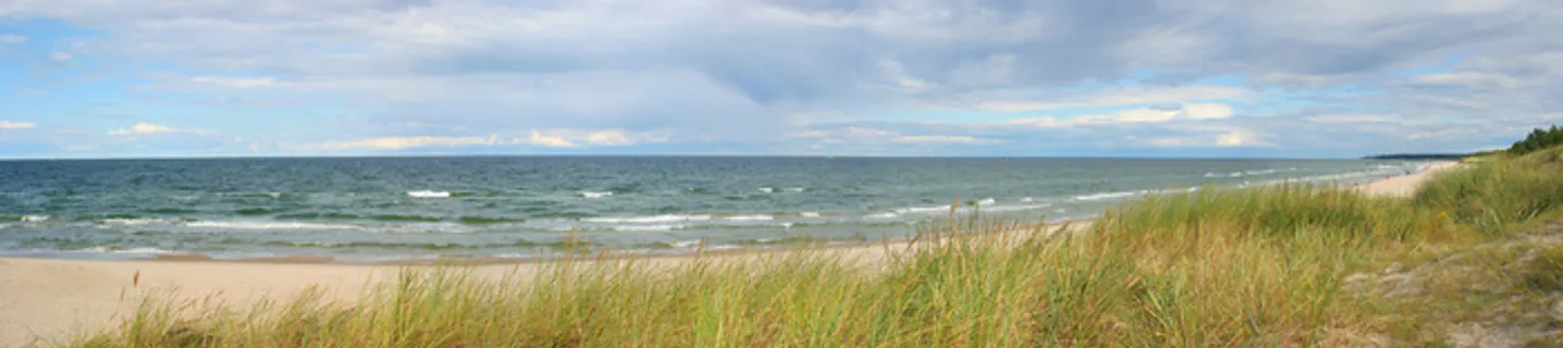 大幅风景    海岸 海边  大海  草 