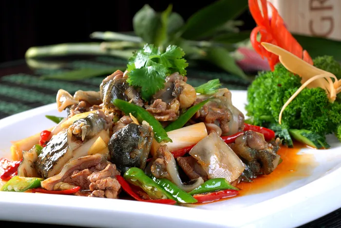 XCXC1959火爆土甲鱼