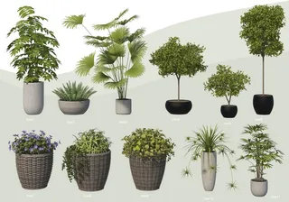 绿叶盆栽花盆绿植PSD大全合-2