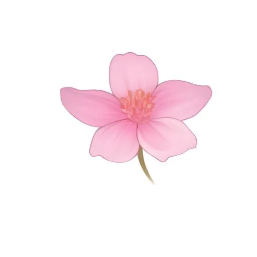 花免抠(2048x2048)