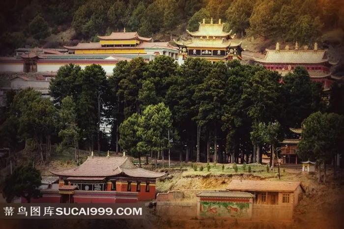 甘南旅游 达仓郎木赛赤寺山林庙宇景观