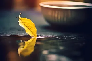 秋叶滴水温馨意境背景