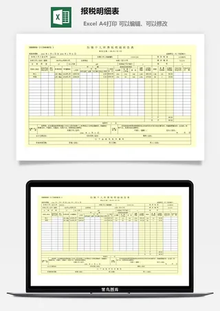 报税明细表excel模板