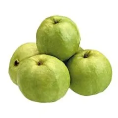 番石榴 PNG免抠(240x240)