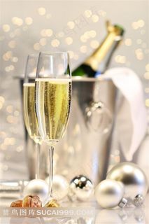 香槟酒与冰桶摄影图片 香槟酒与冰桶摄影图片