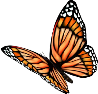 卡通动画动画蝴蝶免扣PNG手绘插画图片素材 (27)