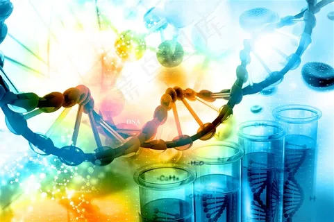 DNA分子结构和试管实验 DNA分子结构和试管实验