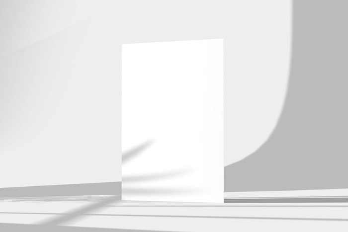 单张黑白灰简约立体光影海报样机