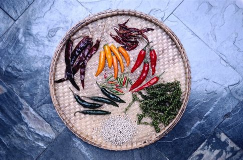 西红柿辣椒卷心菜广告设计jpg素材