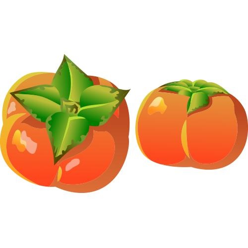 柿子 PNG免抠(500x500)