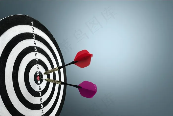 飞镖标靶靶盘图片