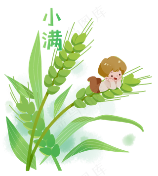 小满节气卡通图片  