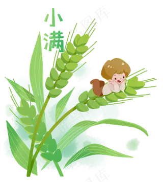 小满节气卡通图片  